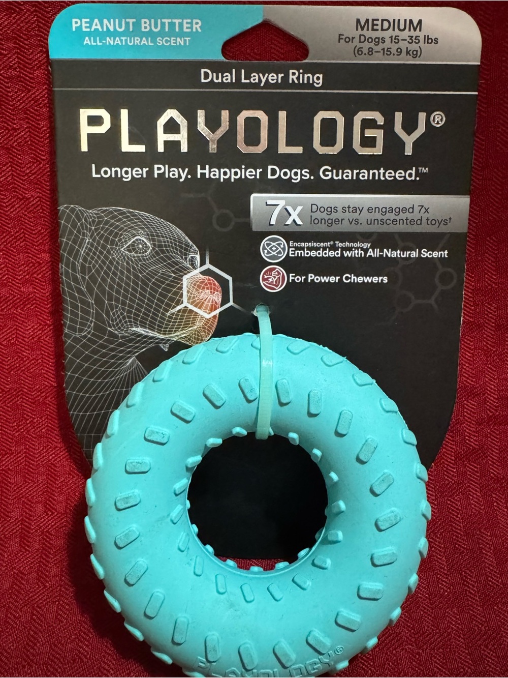 Peanut Butter Scented Dual Layer Ring Dog Toy - Turquoise